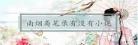 小说没有烟总有花百度云