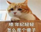 你是个傻子吗用韩语怎么说你是吧怎么：傻瓜韩语