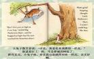 猜猜我有多爱你绘本不织布