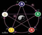 跟爷爷学算卦的小说