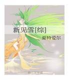 红楼之铁血琏二爷手打百度,全,红楼之铁血琏二爷书包