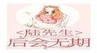 绝世狂婿谭浪林轻雪