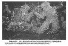 巫术师黎明巫师