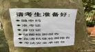 什么是章回体小说