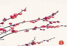 刺客梅花十三和可乐