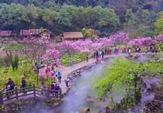 庆庵寺桃花的情感