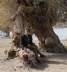 郭改英简历