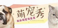 类似通房宠的小说