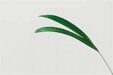 春天里的趣事作文