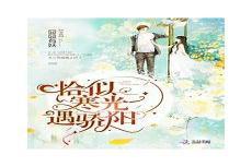 无上宠爱txt免费下载