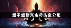 想不想修真地图6