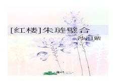 红楼大爷贾珍防盗版